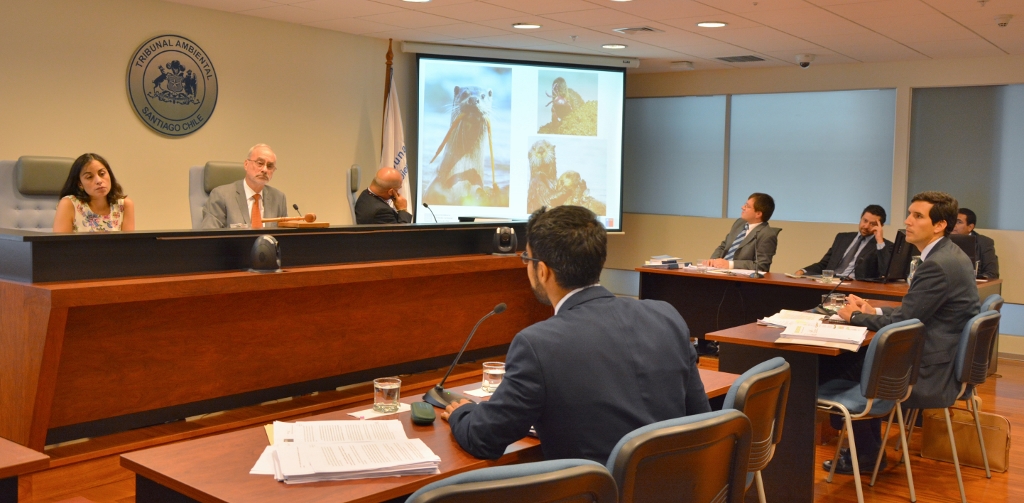 Tribunal escuchó alegatos en reclamación de Pampa Camarones S.A. contra la SMA.