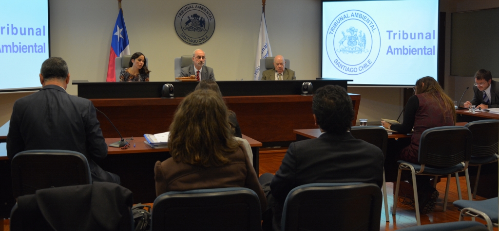 Tribunal llevó a cabo audiencia de alegatos en reclamación asociada a aprobación Ambiental del Proyecto «Puerto Cruz Grande»