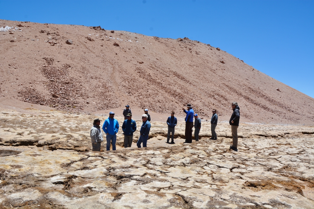 Tribunal Ambiental llevó a cabo visita inspectiva a humedales que se habrían visto afectados por operaciones de Minera Maricunga en la región de Atacama
