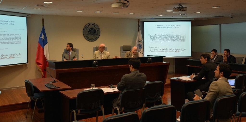 Tribunal Ambiental escuchó alegatos en reclamación de SAETA contra la SMA vinculada a un proceso sancionatorio a proyecto de cerdos en San Francisco de Mostazal