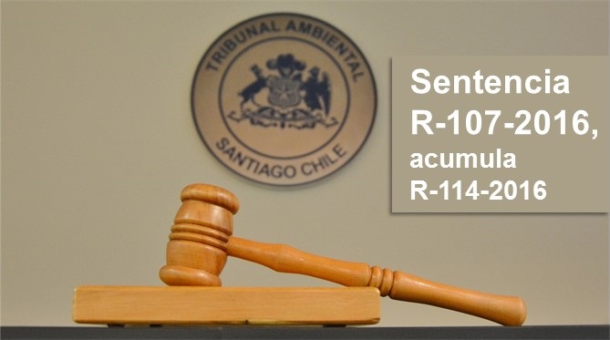 Cardones- Polpaico: Tribunal Ambiental rechazó reclamaciones de municipios y CORE de Valparaíso contra el Director Ejecutivo del SEA