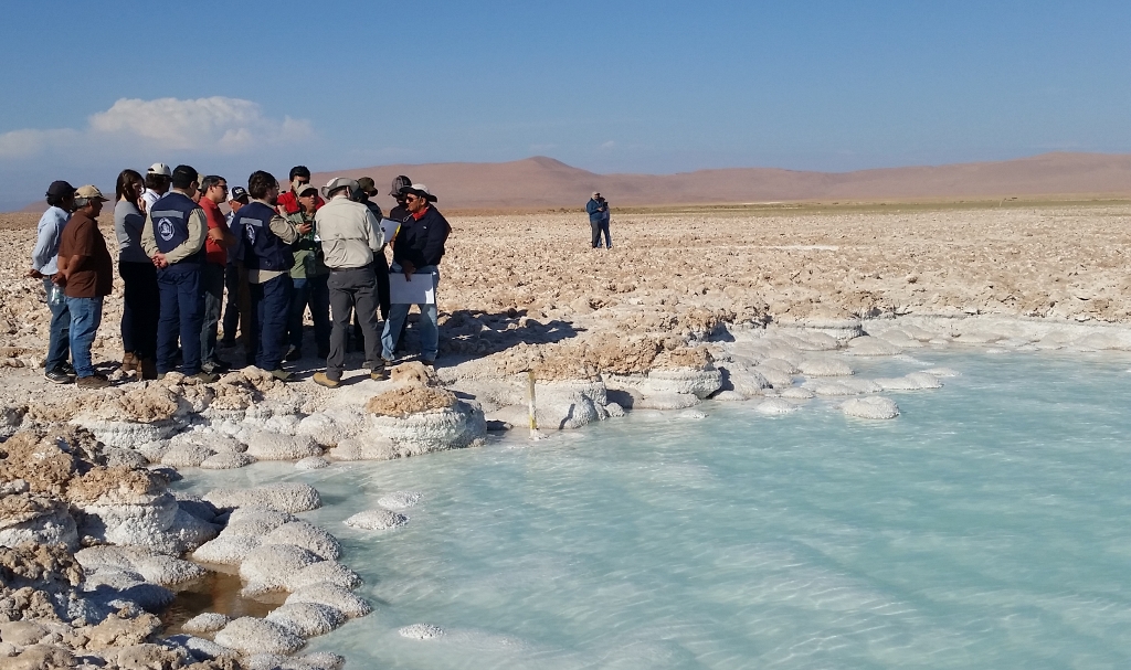 Tribunal Ambiental de Santiago inspeccionó puquios del Salar de Llamara en reclamación de SQM contra Superintendencia del Medio Ambiente