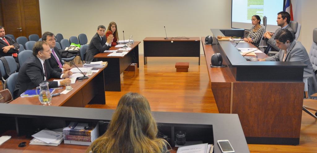 Tribunal Ambiental escuchó alegatos finales en dos demandas por daño ambiental interpuestas en contra de CGE Distribución S.A. por incendios de 2017