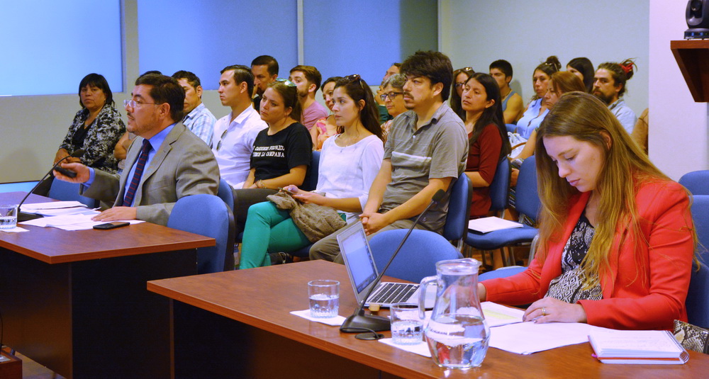 Tribunal escuchó alegatos en reclamación asociada a línea de transmisión eléctrica Cardones- Polpaico