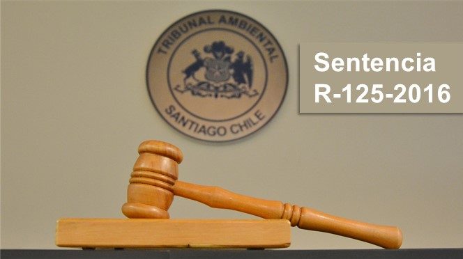 Tribunal ordena al Director Ejecutivo del SEA abrir procedimiento para revisar resolución que aprobó el proyecto Los Bronces