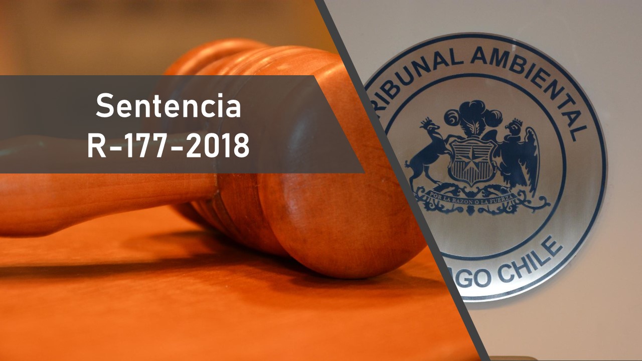 Tribunal acoge reclamación y ordena a la SMA dar curso a denuncias por disposición de residuos en quebradas de Bosque Panul