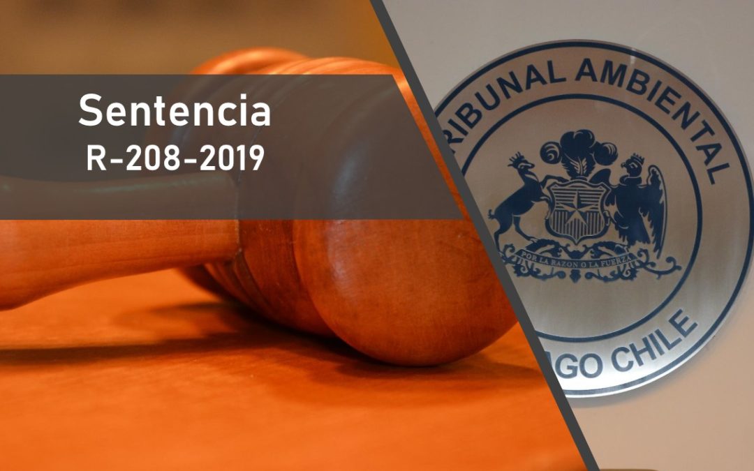 Por falta de fundamentación: Tribunal anuló resolución de la SMA que sancionó a productora de aceite de oliva con multa de 1.916 UTA