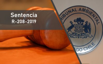 Por falta de fundamentación: Tribunal anuló resolución de la SMA que sancionó a productora de aceite de oliva con multa de 1.916 UTA