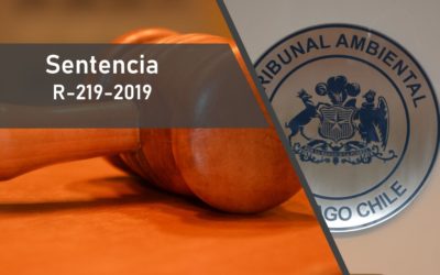 Tribunal rechazó reclamación contra el Comité de Ministros por la aprobación de central hidroeléctrica de pasada en las comunas de Mulchén y Collipulli