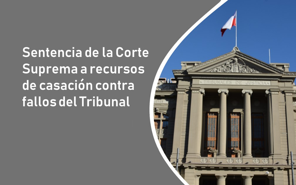 Corte Suprema confirmó sentencia del Segundo Tribunal Ambiental que ordenó a la SMA dictar nueva resolución sancionatoria contra planteles avícolas ubicados en Talca