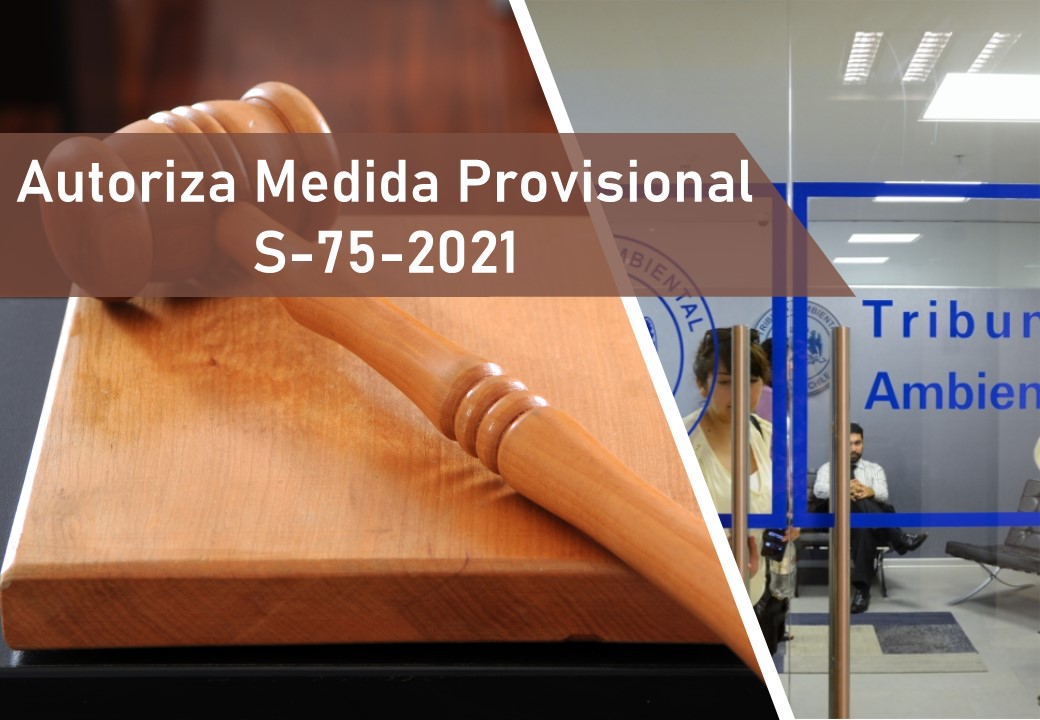 Tribunal autorizó por cuarta vez de medida provisional contra proyecto inmobiliario de Inversiones Lampa SpA solicitada por la SMA