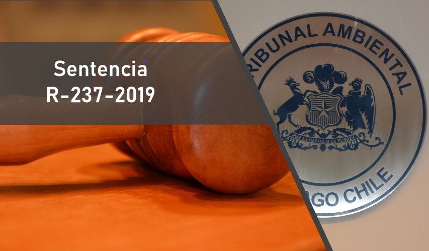 Tribunal acogió reclamación de Oceana en contra del Ministerio de Economía por la modificación de la cuota de captura de merluza del sur del año 2019
