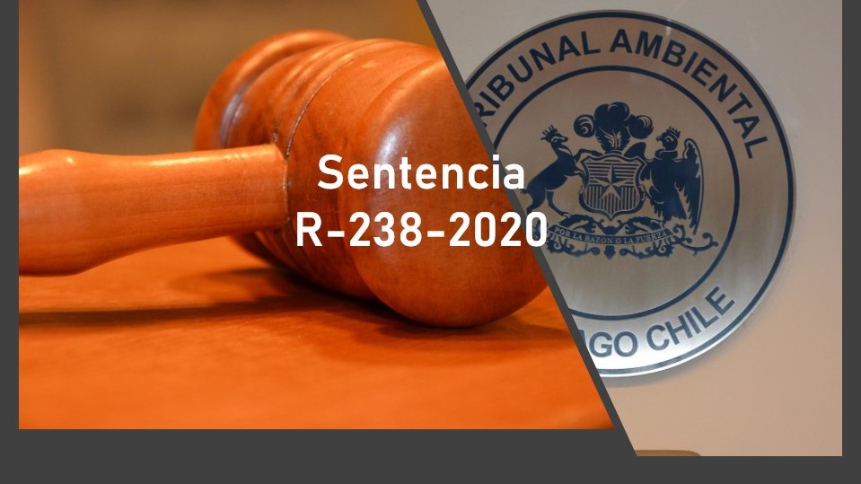 Tribunal acoge parcialmente reclamación interpuesta contra resolución asociada a invalidación de plan de manejo aprobado por CONAF