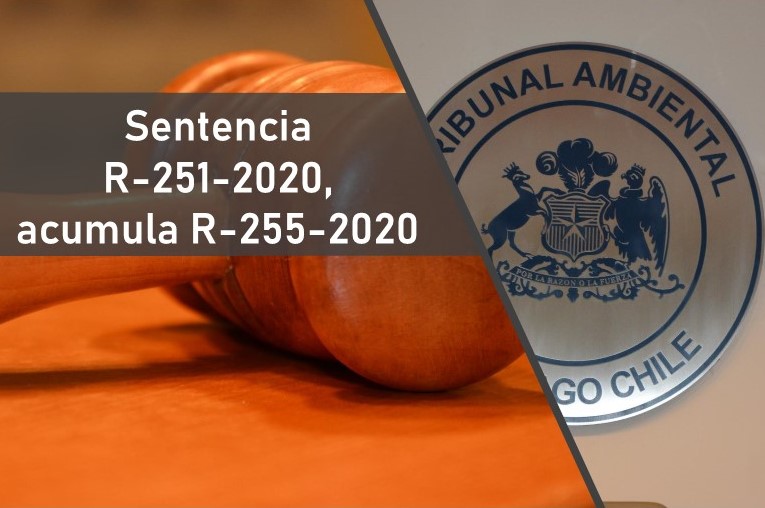 Tribunal rechazó reclamaciones de vecinos de San Javier que buscaban anular aprobación de proyecto de optimización de plantel porcino de Coexca en el Maule