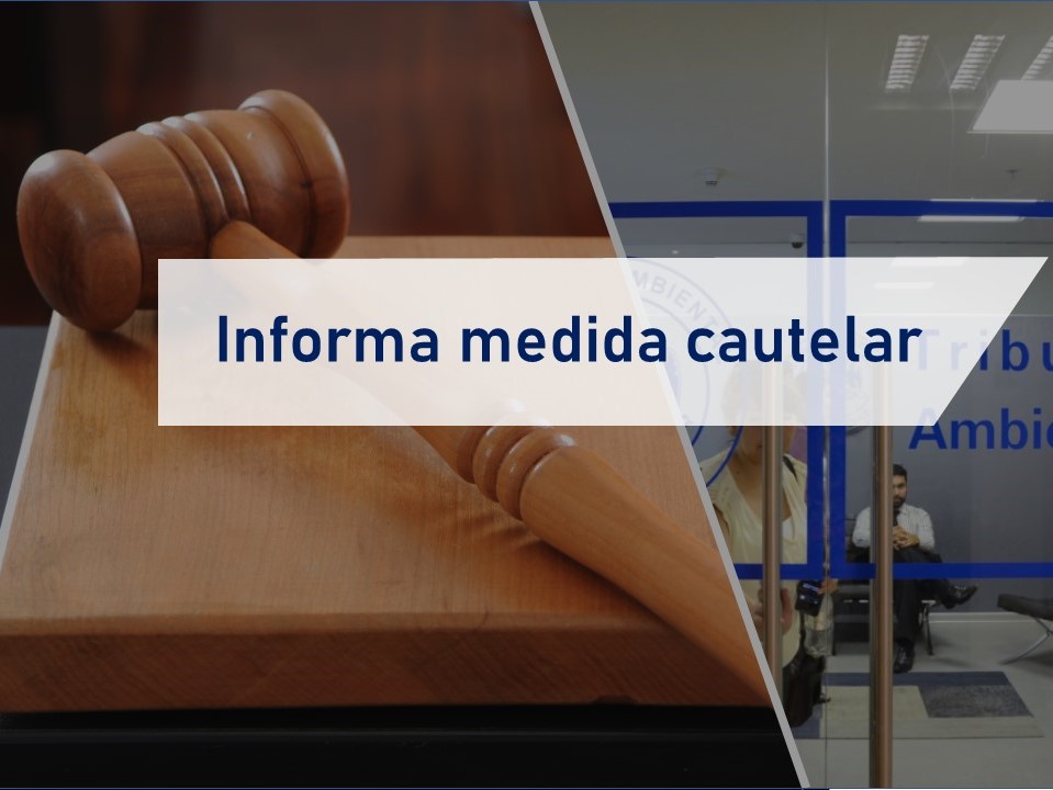 Hasta que dicte sentencia: Tribunal ordenó la suspensión de la RCA del proyecto de sondajes de minera Vizcachitas en Putaendo