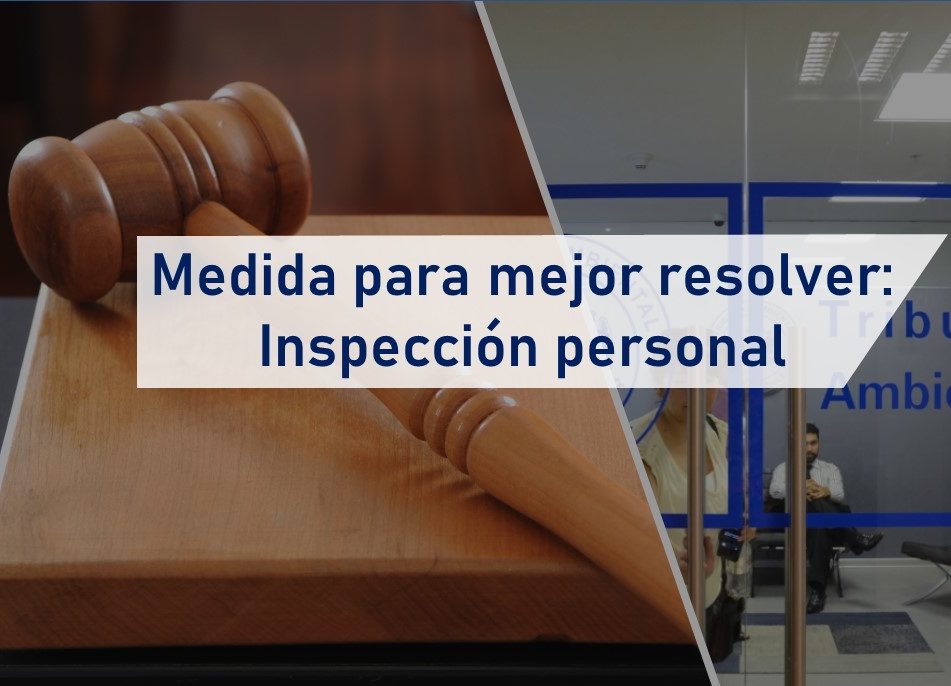 Tribunal realizará inspección en terrenos donde se emplazará proyecto “Terminal Cerros de Valparaíso, TCVAL”