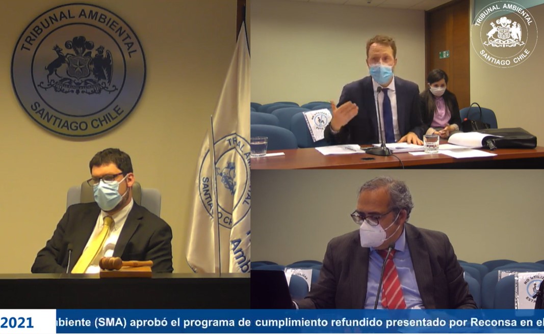 Tribunal realizó audiencia de revisión de medida cautelar consistente en paralización del proceso de revegetación en dunas de Concón