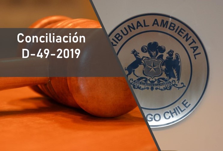 Tribunal logra conciliación entre las partes en demanda por reparación de daño ambiental por eventual afectación a la flora y fauna en predio en la comuna de Linares