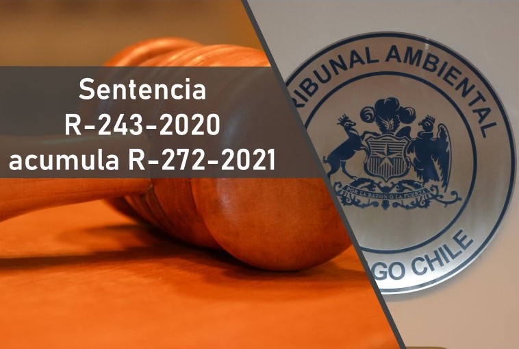 Tribunal rechazó reclamaciones interpuestas contra la SMA por archivar denuncia de elusión al SEIA contra proyecto “Puerto Barón” ubicado en Valparaíso