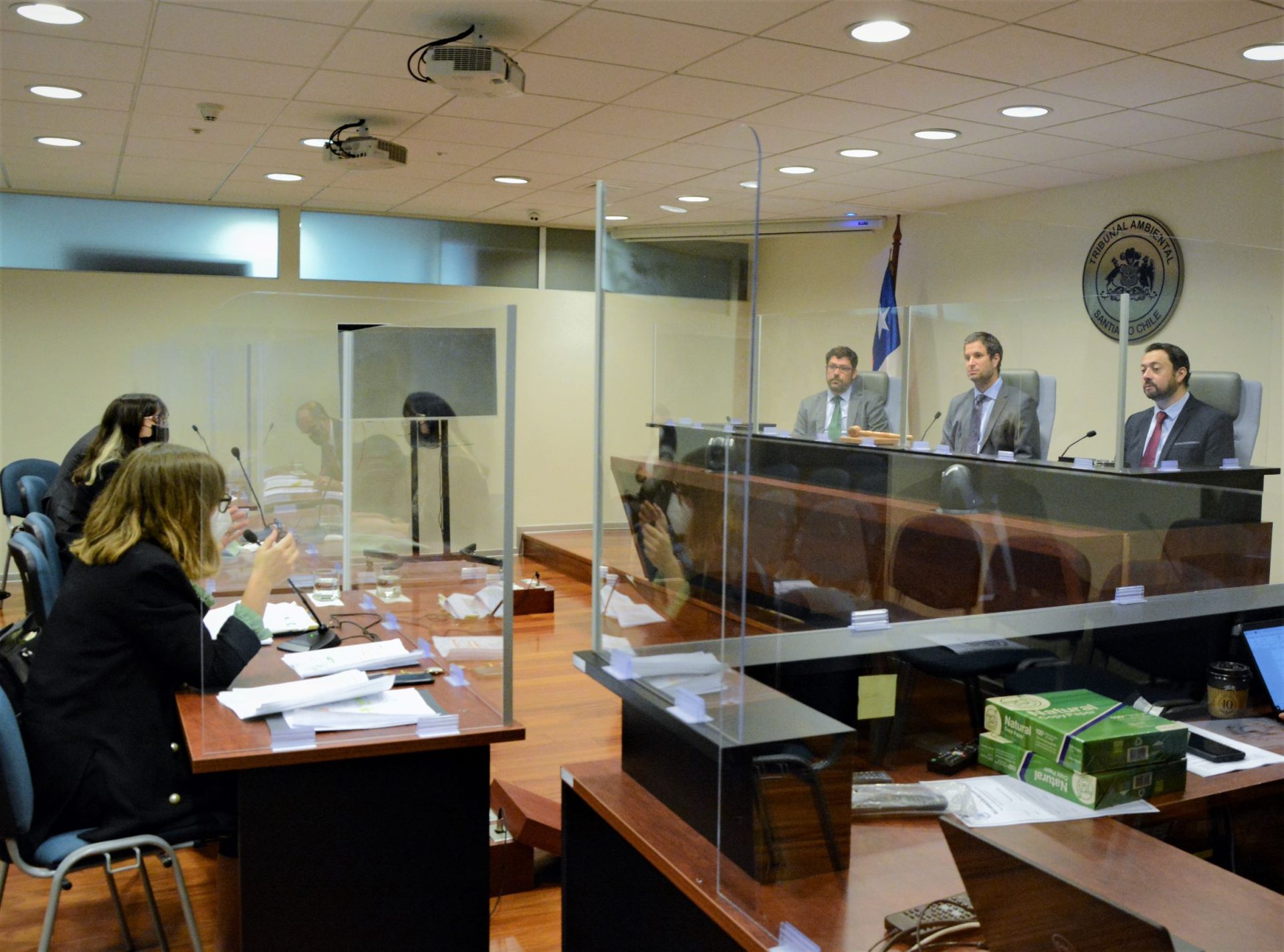 Tribunal realizó audiencia en reclamación que cuestiona vigencia de la RCA de proyecto hidroeléctrico ubicado en la región del Maule