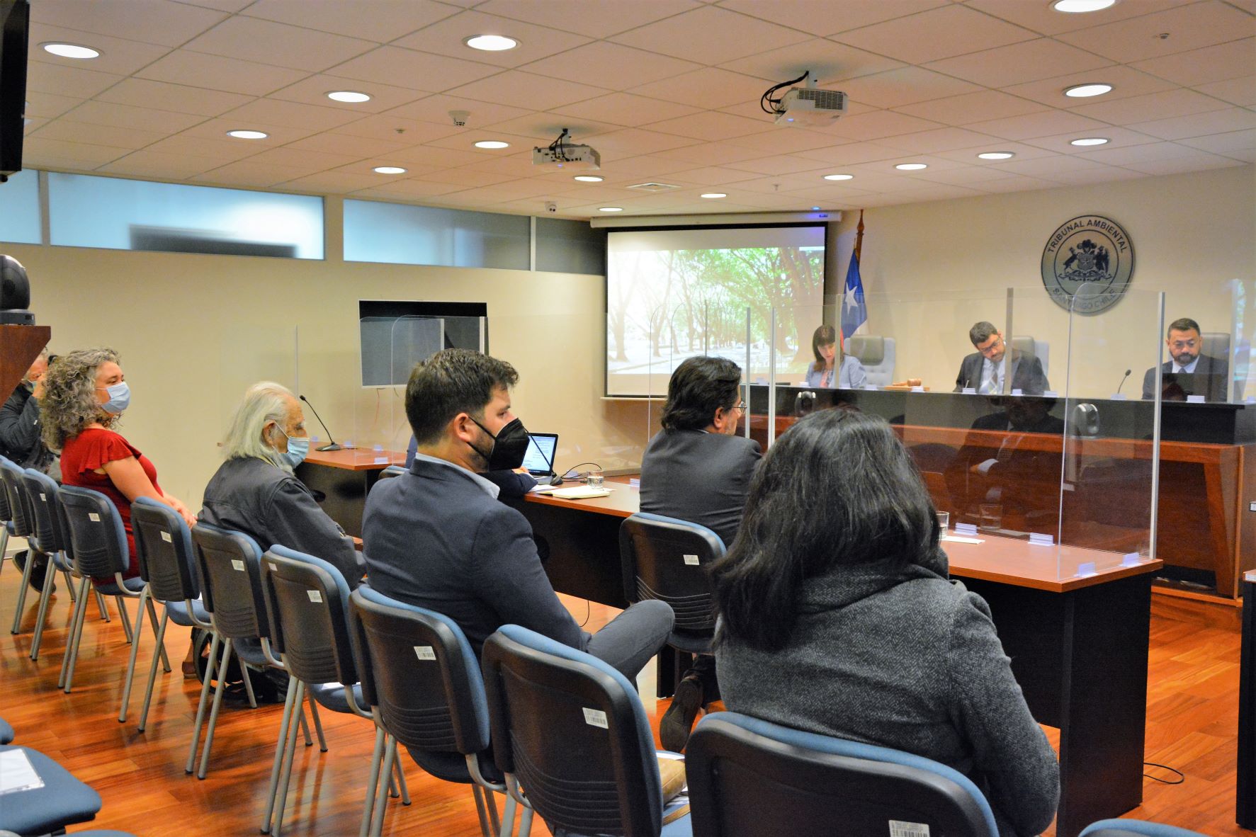 Tribunal escuchó alegatos en reclamación contra la SMA por archivar denuncia contra proyecto “Edificio Urmeneta” en Limache