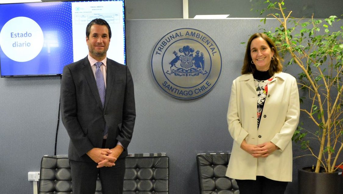 Directora Ejecutiva del Servicio de Evaluación Ambiental entregó su saludo protocolar al ministro presidente del Tribunal