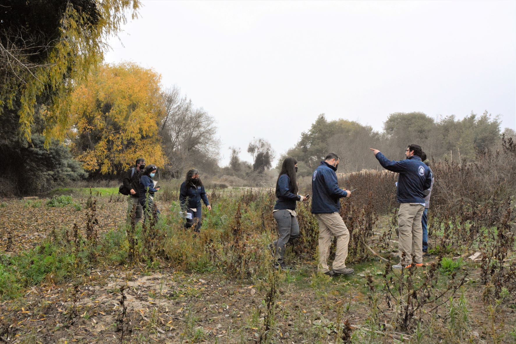 Tribunal inspeccionó humedal urbano Reserva Natural Municipal Piedras Blancas en Limache