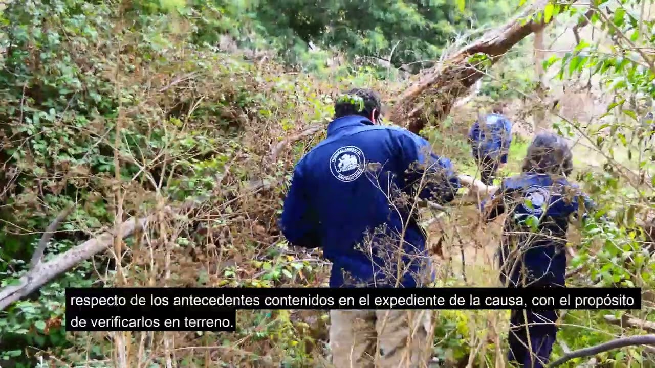 Visita inspectiva Humedal Urbano Piedras Blancas