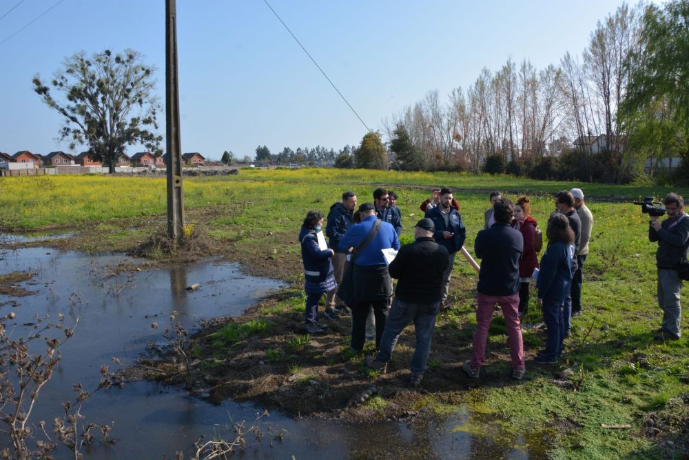 Reclamantes buscan aumentar su tamaño: Tribunal realizó diligencia en el humedal urbano de Linares