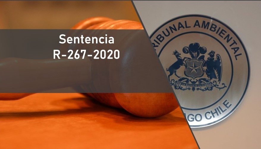 Por falta de fundamentación: Tribunal anuló resolución de la SMA que archivó denuncia contra Anglo American Sur por elusión al Sistema de Evaluación de Impacto Ambiental