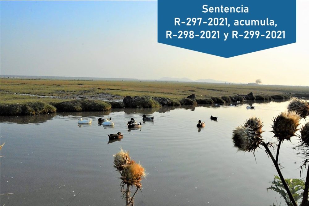 Tribunal ordenó retrotraer procedimiento de declaración del Humedal Urbano de Quilicura realizado por el Ministerio del Medio Ambiente