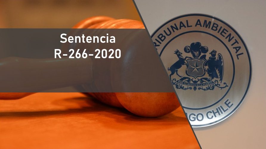 Tribunal ordenó a la SMA reiniciar el procedimiento sancionatorio en contra de la Fundición Alcones