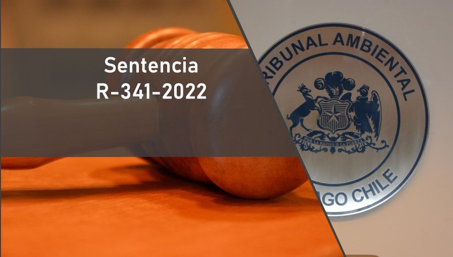 Tribunal acogió reclamación de Municipalidad de Villa Alemana contra el MMA por humedal urbano Estero Lo Godoy y Estero Pejerreyes
