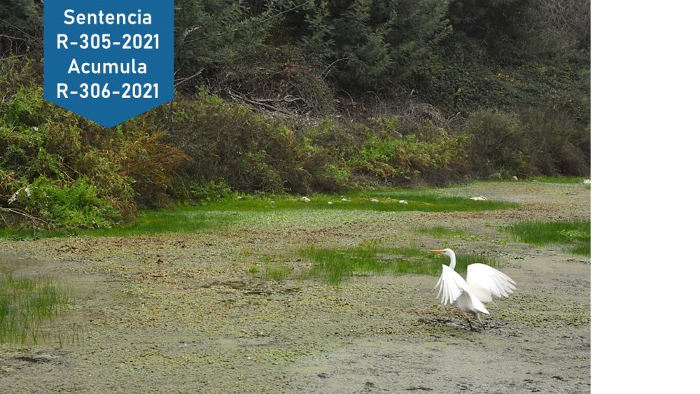 Tribunal rechazó reclamaciones contra el Ministerio del Medio Ambiente por la declaración del humedal urbano Reserva Natural Municipal Piedras Blancas en Limache