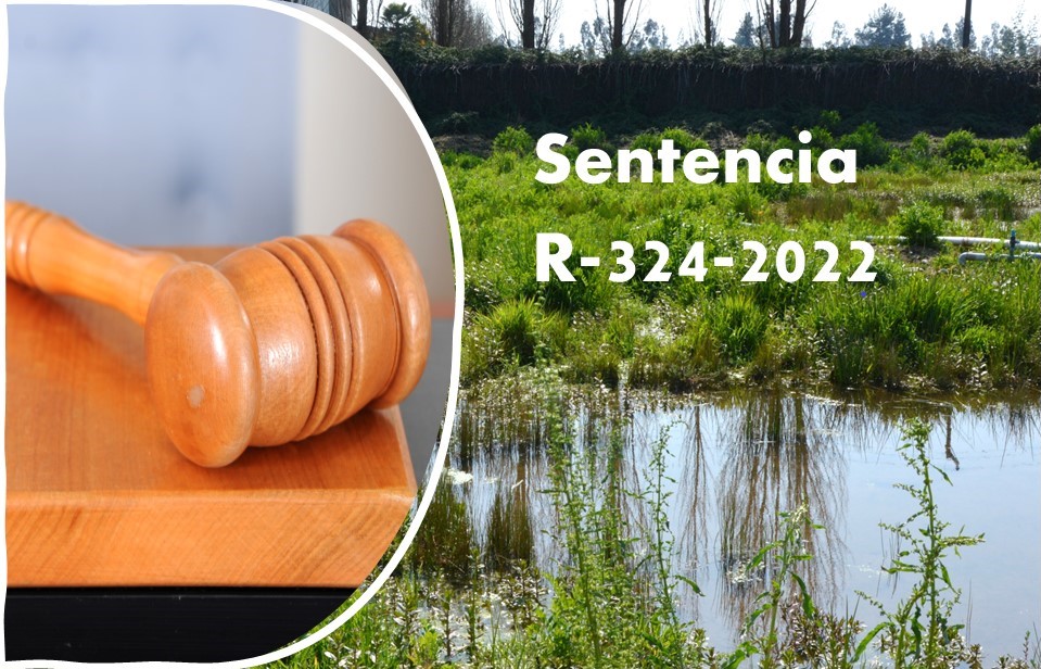 Segundo Tribunal Ambiental ordenó al MMA realizar nuevamente procedimiento de declaración del Humedal Urbano de Linares