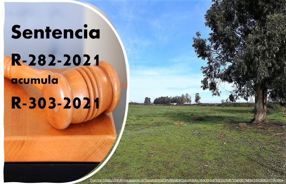 Tribunal anuló parcialmente la RCA de planta productora de proteína para alimentación animal y humana ubicada en Teno