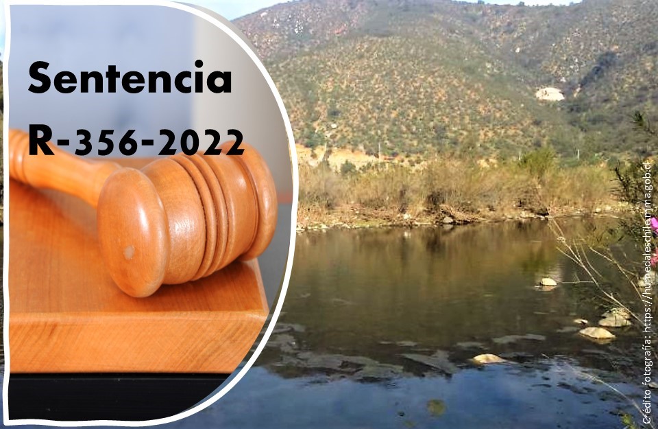 Tribunal anuló declaratoria del humedal urbano Estero El Puangue y ordenó al Ministerio del Medio Ambiente realizar nuevamente el procedimiento