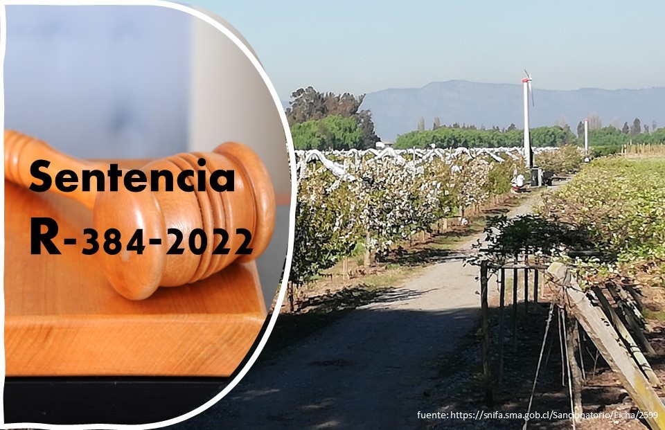 Por vicios en procedimiento: Tribunal acogió reclamación de empresa agrícola de Curicó contra la SMA por rechazo a su programa de cumplimiento
