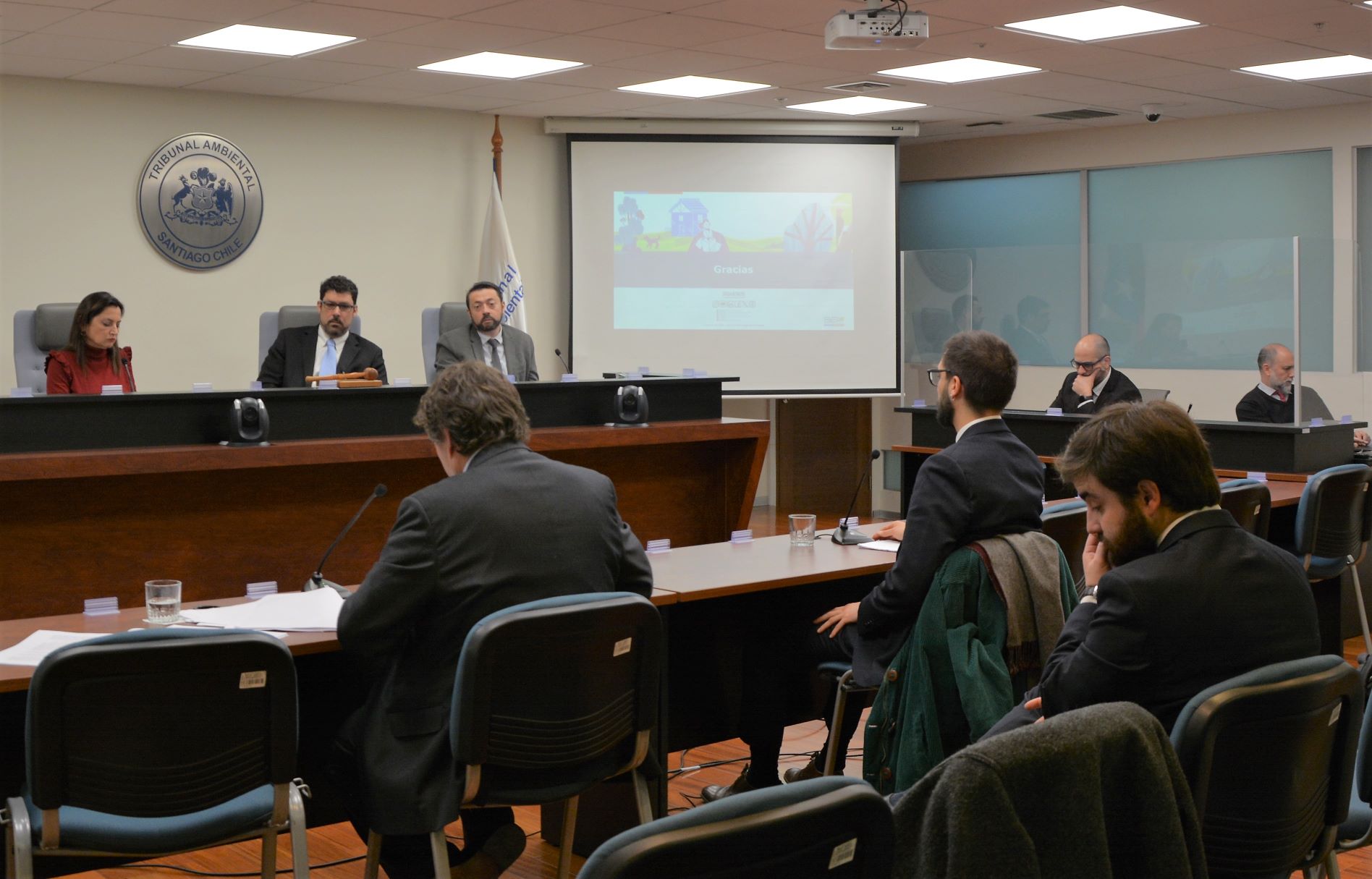 Tribunal realizó audiencia en reclamación que busca que proyecto de Eletrans, que modifica forma de construcción de torres de alta tensión, ingrese al SEIA