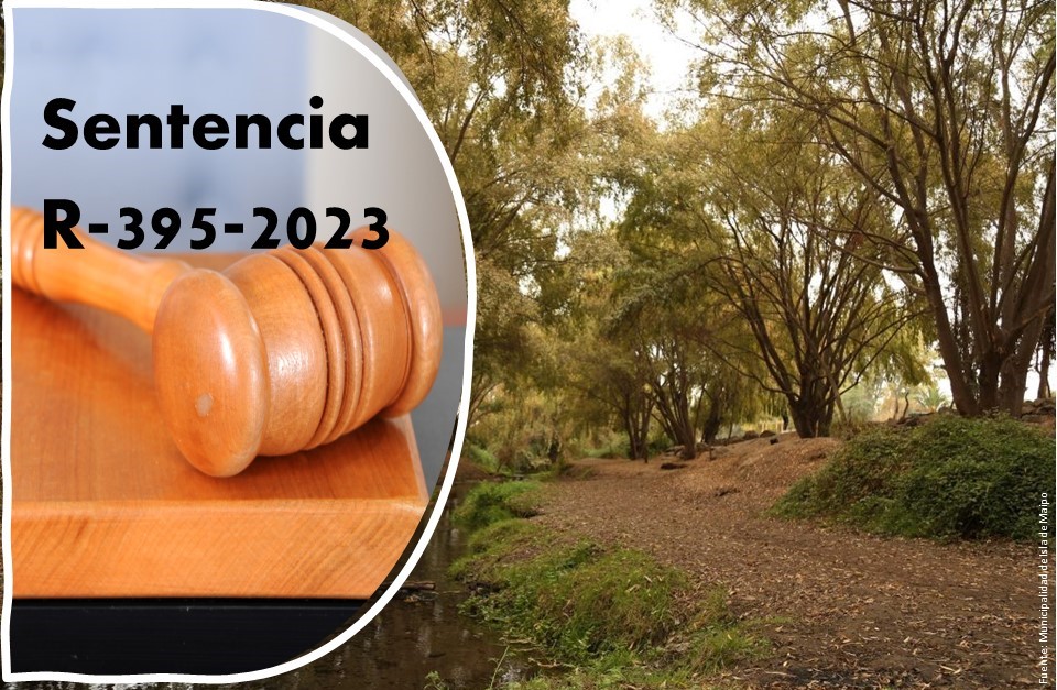 Tribunal confirmó declaratoria del humedal urbano Río Maipo en la comuna de Isla de Maipo
