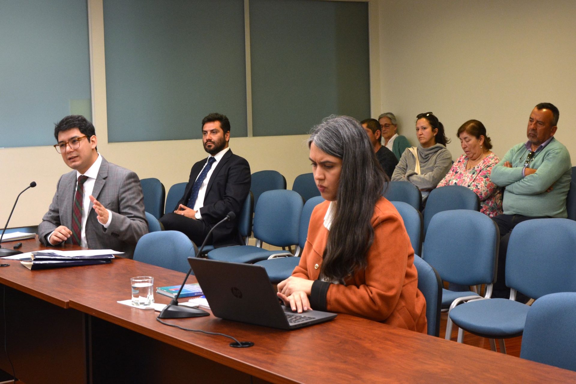 Tribunal realizó audiencia en reclamación que busca revertir decisión del SEA de anular aprobación de proyecto de generación eléctrica en La Ligua