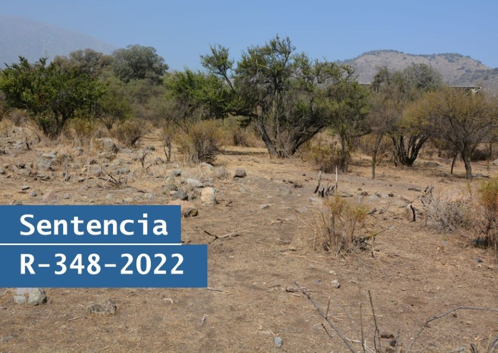 Tribunal determinó que la SMA actuó correctamente al archivar denuncias ciudadanas y dar por cumplido plan de retiro de arenas desde el Bosque El Panul