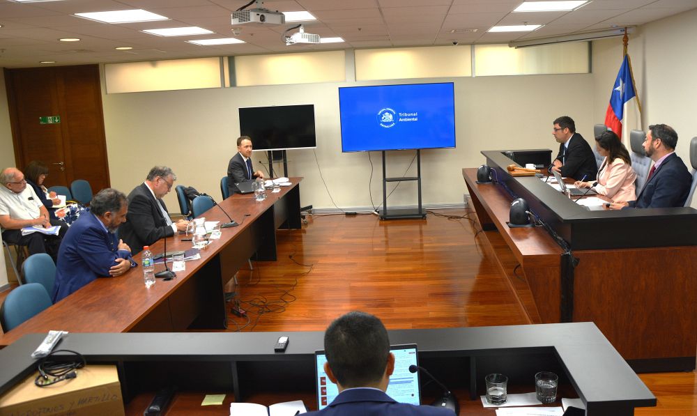 Tribunal realizó audiencia en dos reclamaciones en contra de la aprobación del proyecto AVO II, Tramo Príncipe de Gales – Los Presidentes
