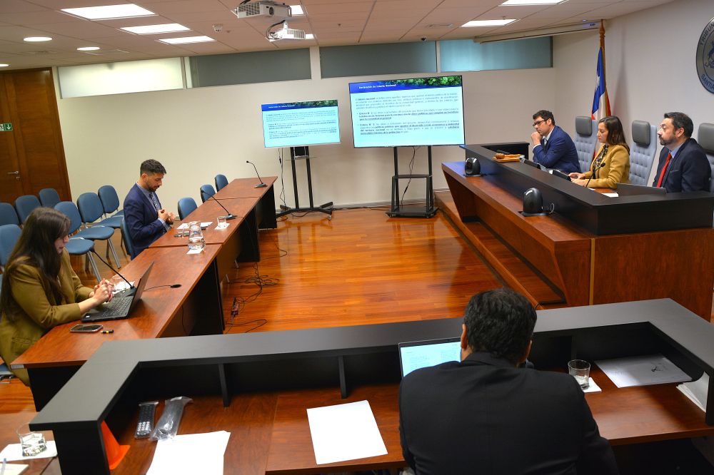 Corporación Alerce busca dejar sin efecto la declaración de interés nacional de ruta que pasa por el Parque Nacional Alerce Costero en la región de Los Ríos