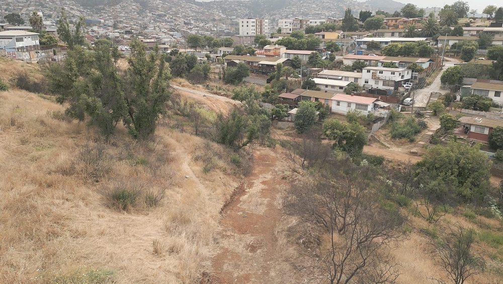 Tribunal instruye al Ministerio del Medio Ambiente analizar nuevamente límites del humedal urbano Entre Cerros en Viña del Mar integrando las dimensiones sociales, económicas y ambientales